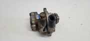 Servolenkungspumpe NISSAN X-TRAIL (T30) 2.2 dCi 8H800