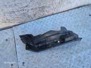 Schutzleiste Kotflügel BMW X6 (F16, F86) 9245596