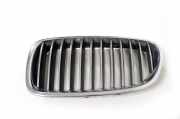 Kühlergrill oben BMW 5er (F10) 7200727