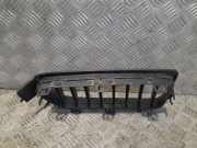 Kühlergrill komplett BMW 5er Touring (G31) 51767349599