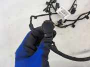Sensor für Einparkhilfe Ford Focus IV (HN) JX6T15K867