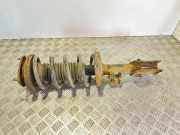 Stoßdämpfer vorne rechts SUZUKI GRAND VITARA II (JT, TE, TD) 1.9 DDiS 4WD (TD44, JT419, JB419WD)