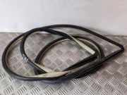 Türdichtungsgummi vorne links INFINITI EX 30d