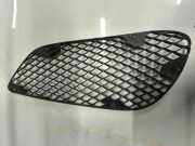 Gitter vorne unten MERCEDES-BENZ E (W212) E 220 CDI / BlueTEC (212.001, 212.002)