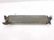 Ladeluftkühler MAZDA CX-5 (KE, GH) 2.2 D AWD 1271004112 SH0113565