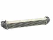 Ladeluftkühler Mercedes-Benz A-Klasse (W169) A1695000000