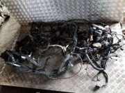 Motor Kabelbaum INFINITI EX 30d