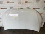 Motorhaube VW CADDY III Furgon (2KA, 2KH, 2CA, 2CH) 1.6 TDI