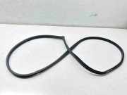 Dichtungsgummi der hinteren Tür (an der Karosserie) HYUNDAI TUCSON (TL, TLE) 1.6 T-GDi 4WD