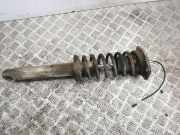 Stoßdämpfer hinten links MASERATI QUATTROPORTE V 4.7 S 462400001756