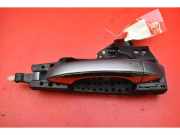 Türgriff rechts hinten Audi A8 (4H) 4H0837886