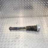 Stoßdämpfer hinten rechts LAND ROVER DISCOVERY V (L462) 3.0 D 4x4 N/A