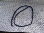 Dichtungsgummi der hinteren Tür (an der Karosserie) NISSAN X-TRAIL (T31) 2.0 dCi