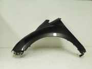 Kotflügel vorne links