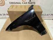 Kotflügel links vorne Jaguar F-Pace (X761) HK8316016