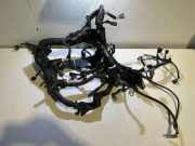 Motor Kabelbaum TOYOTA RAV 4 IV (_A4_) 2.0 4WD (ZSA44_)