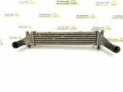 Ladeluftkühler MERCEDES-BENZ SLK (R170) 230 Kompressor (170.447) A1705000400 1705000400