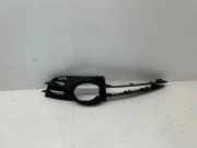 Gitter vorne unten AUDI A6 Avant (4F5, C6) 2.0 TFSI
