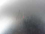 Außenspiegel links FIAT DUCATO Minibus / passenger (244_) 2.8 TDI