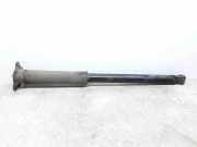 Stoßdämpfer hinten links