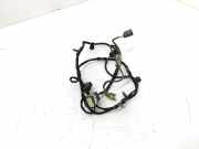 Kabelbaum Hinteren Parksensoren OPEL ZAFIRA TOURER C (P12) 1.6 CDTI 20834308 032014082130609