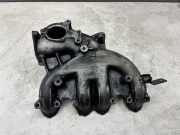 Ansaugbrücke AUDI A4 Avant (8ED, B7) 1.9 TDI 038129713BM