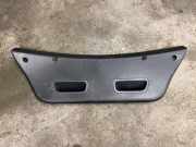 Heckklappenverkleidung HYUNDAI i20 (PB, PBT) 1.4 817501J000