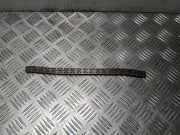 Steuerkette Ford Transit Connect V408 Kasten ()