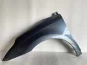 Kotflügel vorne links