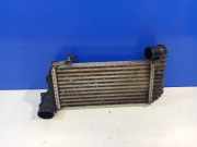 Ladeluftkühler Ford Transit Connect V408 Kasten () INTERCOOLERRADIATOR