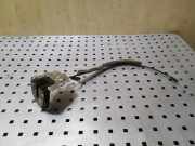 Heckklappenschloss RENAULT MASTER III Furgon (FV) 2.3 dCi 100 [RWD] (FV0B, FV0C, FV0D) 905030009R