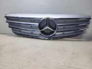 Vorderer oberer Gitter MERCEDES-BENZ B (W245) B 200 CDI (245.208) A1698800783