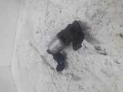 Zusatzluftschieber Opel Zafira A (T98) 2035230