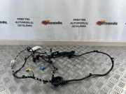 Kabel der vorderen linken Tür VW PASSAT B6 (3C2) 2.0 TDI 16V 3G2971120H