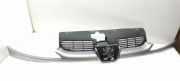 Gitter Grill vorne links PEUGEOT 206 Hatchback (2A/C) 1.6 i 9628691277
