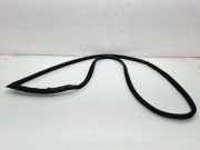 Türgummi rechts vorne BMW 1er (F21) 15310510