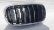 Vorderer oberer Gitter BMW X6 (F16, F86) xDrive 30 d 7316058