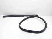 Türgummi links vorne Volvo C70 II Cabrio () 31256242