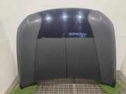 Motorhaube VW PASSAT Variant B6 (3C5) 2.0 TDI COLRLC9X