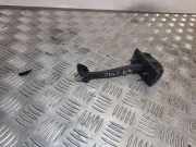 Türanschlag hinten links