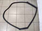 Türgummi links hinten BMW 5er Gran Turismo (F07) 7196389