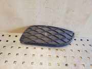 Gitter vorne unten TOYOTA YARIS (_P1_) 1.4 D-4D (NLP10_)