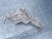 Fensterwaschtank DODGE CALIBER 2.0 CRD 05303789