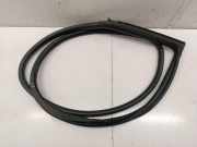 Türgummi rechts vorne BMW 2er Coupe (F22, F87)