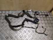 Kabel Tür vorne rechts FORD FOCUS IV (HN) 1.0 EcoBoost DM5T14A584CDB