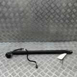 Heckklappe Gasdruckfeder links PORSCHE CAYENNE (9Y0/9Y3) Cayenne S 9Y0827851A