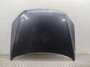 Motorhaube VW PASSAT Variant B7 (365) 2.0 TDI