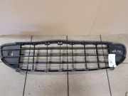 Kühlergrill unten Peugeot 407 () PG0703401