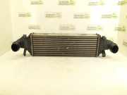 Ladeluftkühler Mercedes-Benz C-Klasse (W204) 2045000200