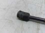 Gasfeder für Motorhaube VW Passat B6 CC (357)